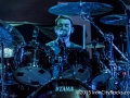 ICR-animalsAsLeaders-1302