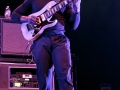 ICR-animalsAsLeaders-1347