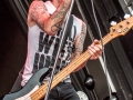 ICR-AntiFlag-1610
