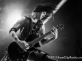 ICR_bvb2--2