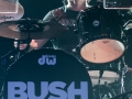 ICR-Bush-4479