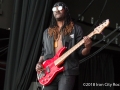 ICR_CLOVES-3604