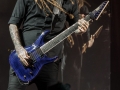 ICR_KORN-8555