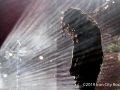 ICR_KORN-8569