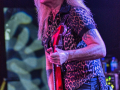 bcrichguitarfaceresize