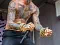 ICR_M2014_UBB-0705