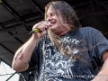 ICR_M2014_CC-0896