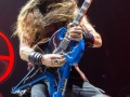 Pantera-6114