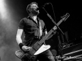 ICR-ToaDM-4372