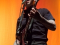 tigerArmy-6421