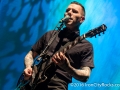tigerArmy-6438
