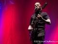 tigerArmy-6452
